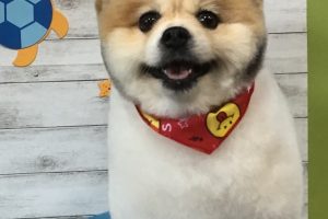 8月のお友達☆