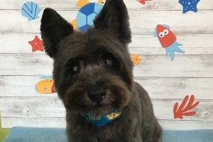 8月のお友達☆