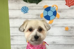 8月のお友達☆