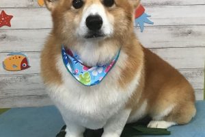 8月のお友達☆