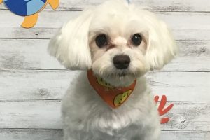 8月のお友達☆