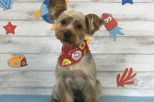 8月のお友達☆