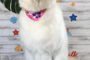 8月のお友達☆