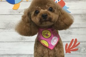 8月のお友達☆