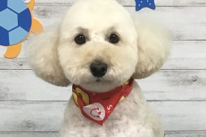 8月のお友達☆