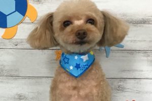 8月のお友達☆