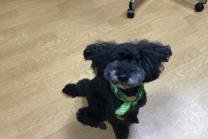 お泊り☆