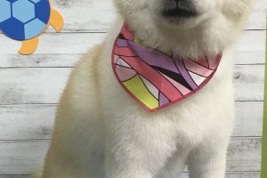 8月のお友達☆