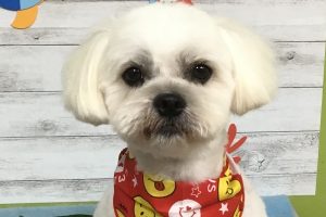 8月のお友達☆