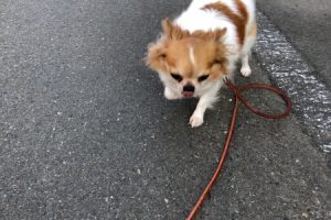 お泊り中☆