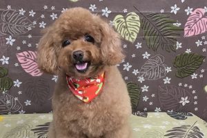 9月のお友達☆
