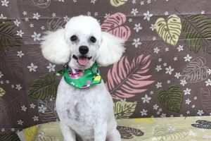 9月のお友達☆