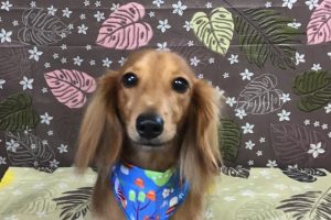 9月のお友達☆