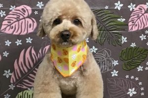 9月のお友達☆