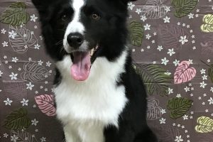 9月のお友達☆