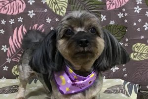 9月のお友達☆