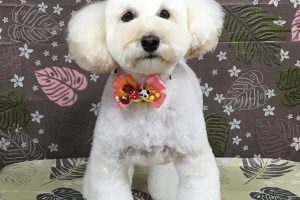 9月のお友達☆