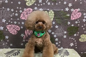 ９月のお友達☆