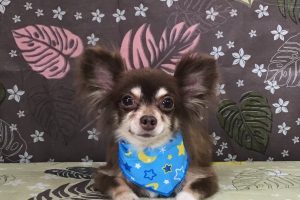 9月のお友達☆