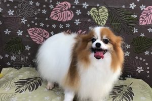 9月のお友達☆