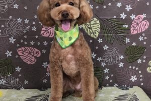 9月のお友達☆