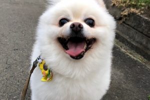 お泊り☆