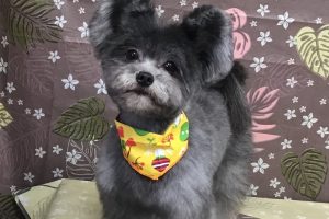 9月のお友達☆