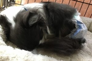 お泊り☆