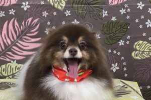 9月のお友達☆