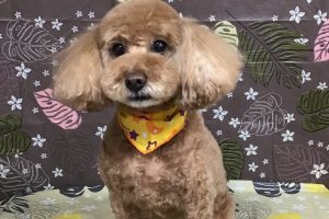 9月のお友達☆