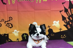 10月のお友達☆
