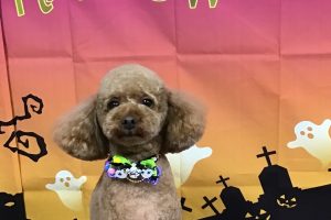 10月のお友達☆