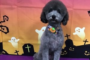 10月のお友達☆