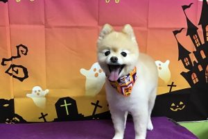 10月のお友達☆