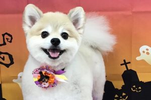 10月のお友達☆
