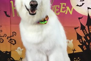 １０月のお友達☆