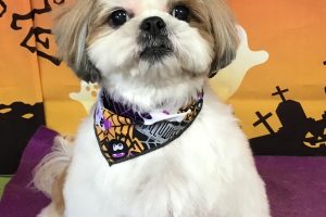 10月のお友達☆