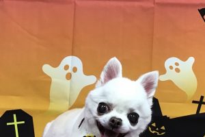 10月のお友達☆