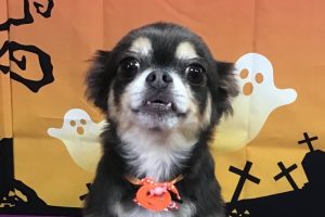 10月のお友達☆