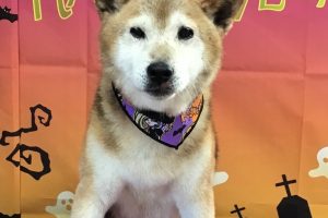 10月のお友達☆