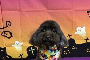 10月のお友達☆