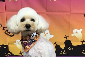 10月のお友達☆