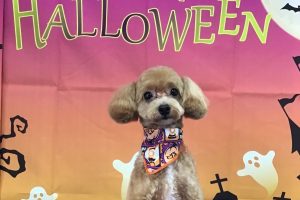 10月のお友達☆