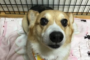 お泊り中☆