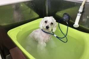 10月のお友達☆