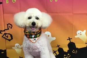 10月のお友達☆