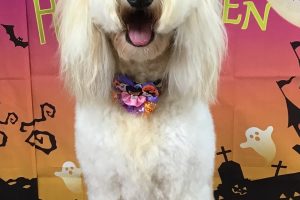 10月のお友達☆