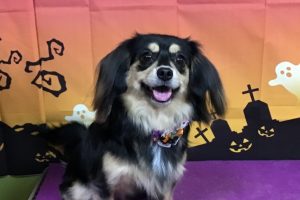 10月のお友達☆