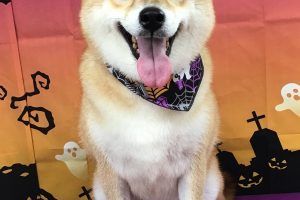 10月のお友達☆