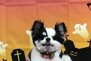 10月のお友達☆